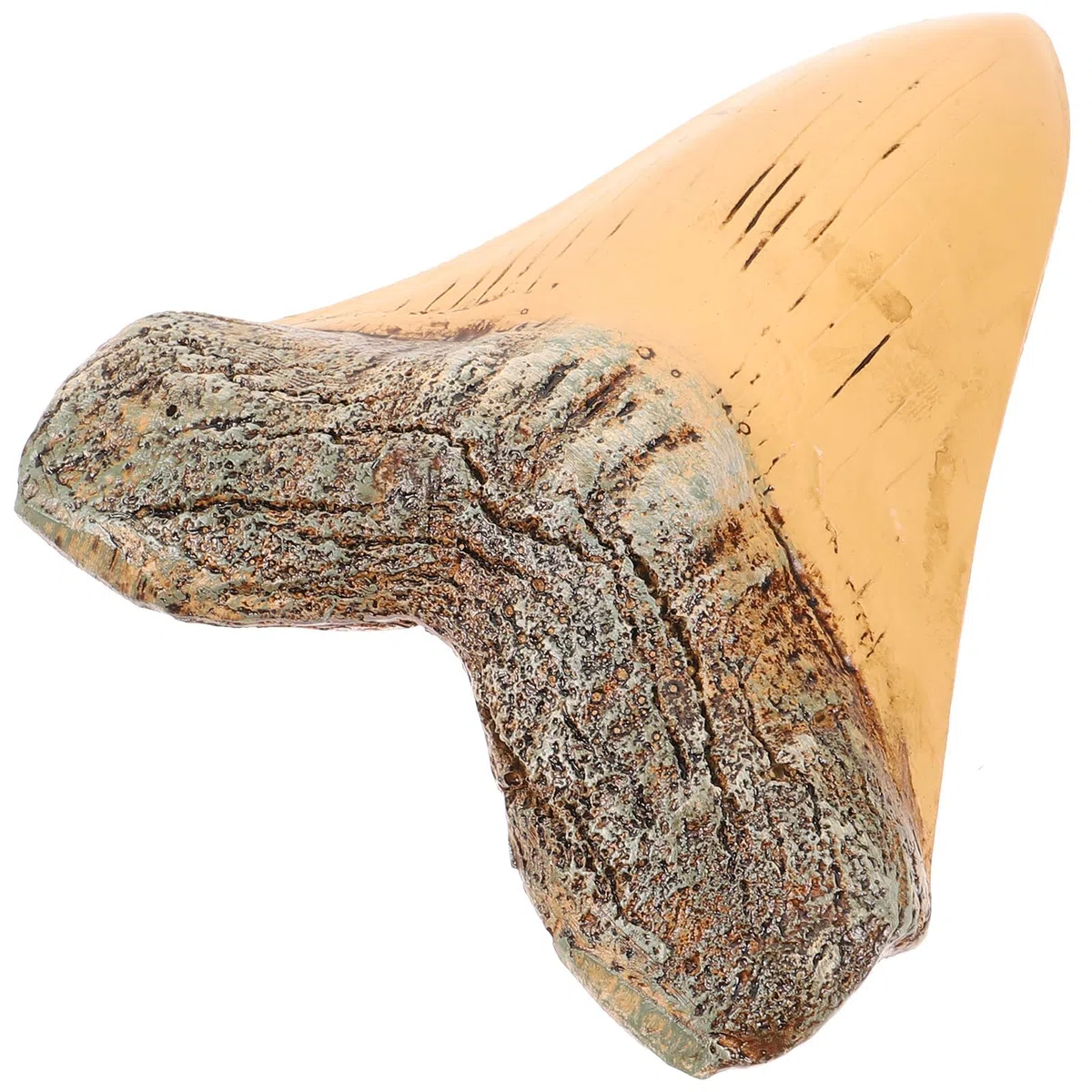 Ornement Rétro en Résine de Dent de Requin Réaliste Modèle Vintage de 10 CM pour Collection et Décoration Éducative Pièce Artisanale Légère pour Bureau et Étagère
