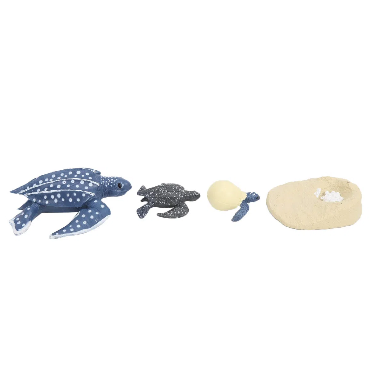 Srliya Modèle Animal de Simulation, Vie Marine, Cycle de Vie, Modèle Cognitif, Jouet Scientifique pour Enfants (2425-Cycle de Croissance de la Tortue Luth)