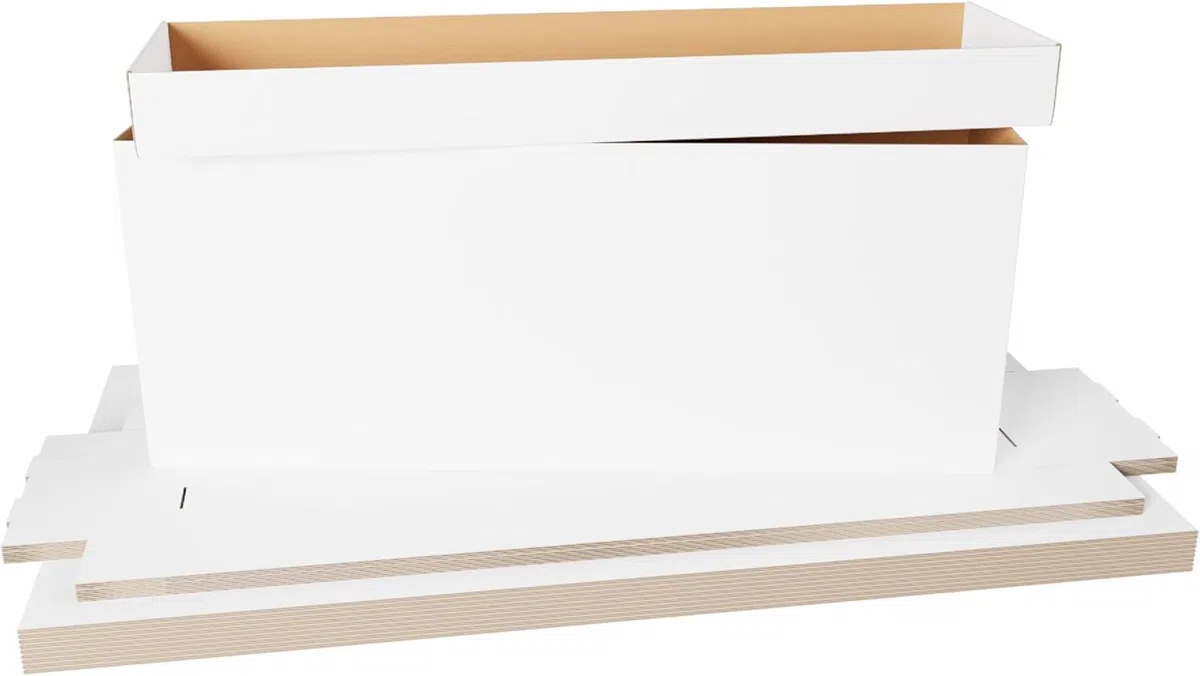 Max Pro Lot de 5 boîtes de rangement longues pour bandes dessinées 200 à 225 bandes dessinées Blanc