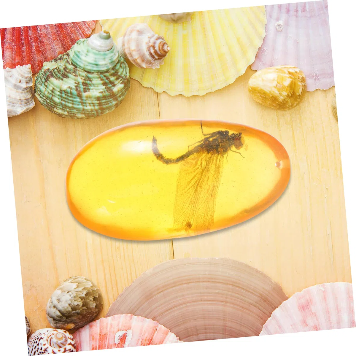 Hohopeti Ornement Décoratif Objet de Collection Unique en Résine Spécimen D'insecte Ambré de Libellule pour Décoration Intérieure