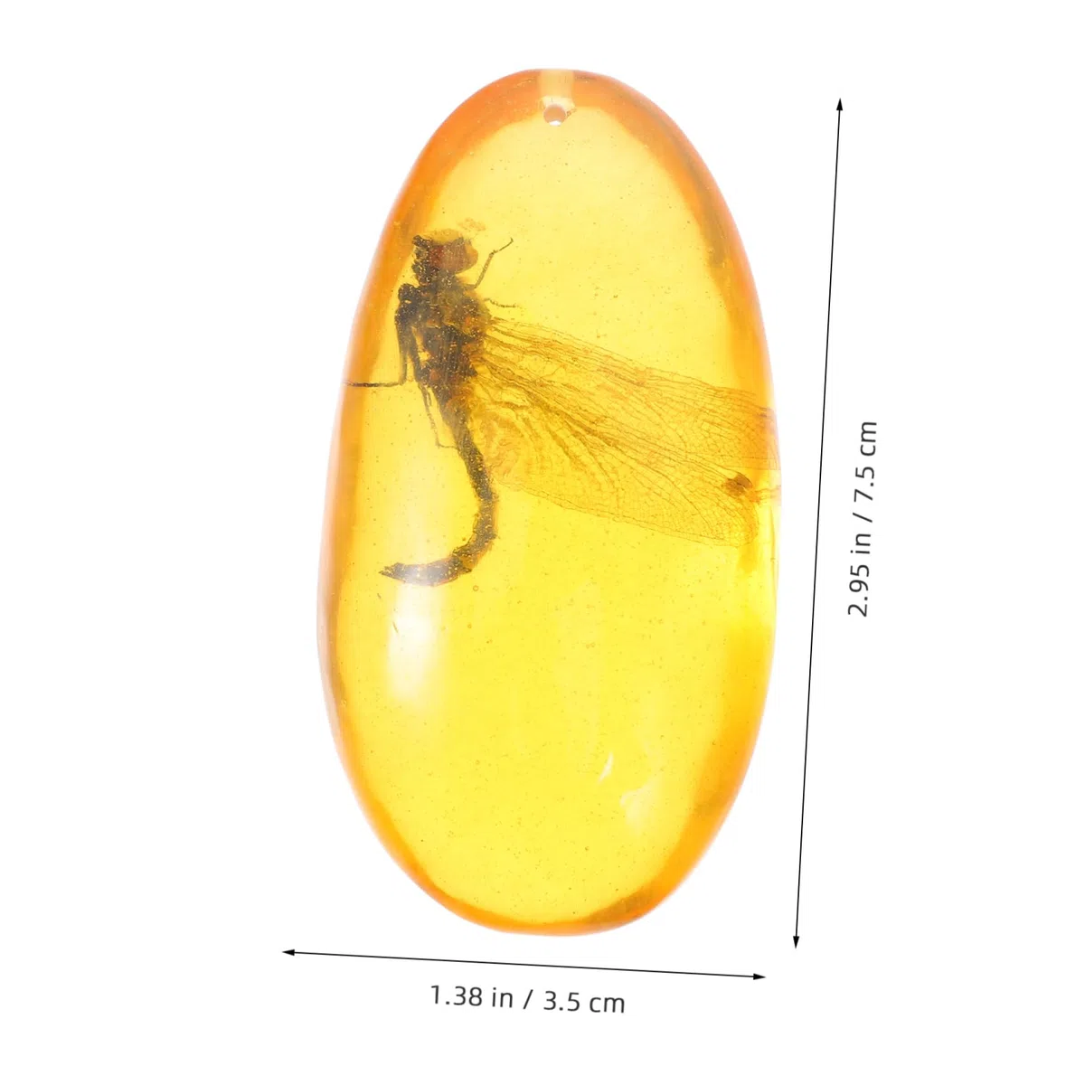 Hohopeti Ornement Décoratif Objet de Collection Unique en Résine Spécimen D'insecte Ambré de Libellule pour Décoration Intérieure