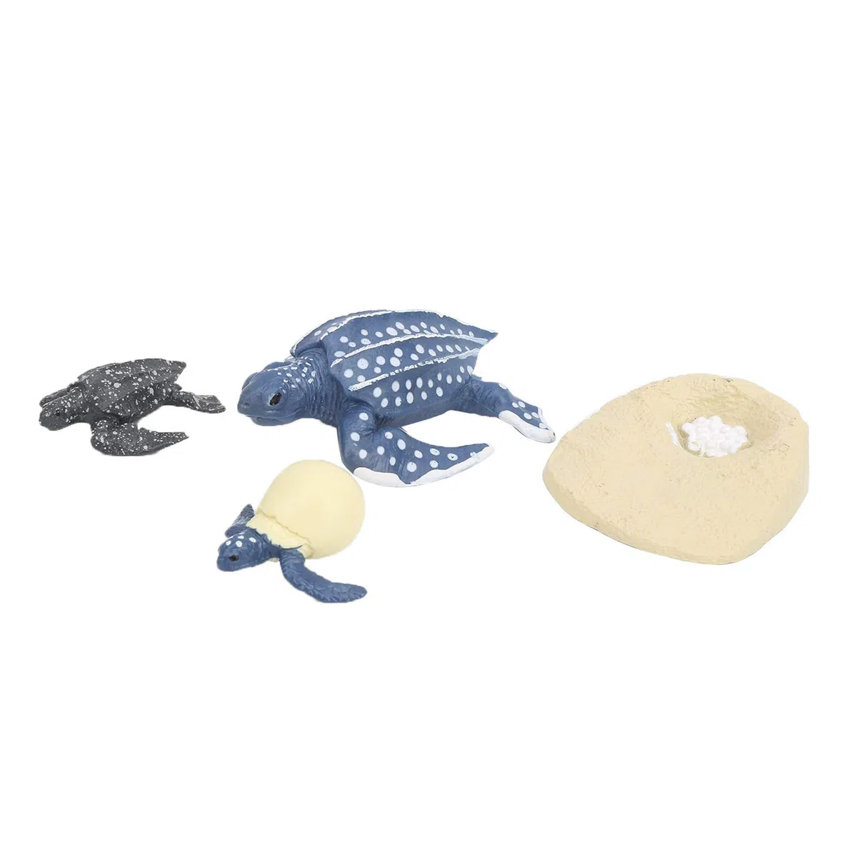 Srliya Modèle Animal de Simulation, Vie Marine, Cycle de Vie, Modèle Cognitif, Jouet Scientifique pour Enfants (2425-Cycle de Croissance de la Tortue Luth)