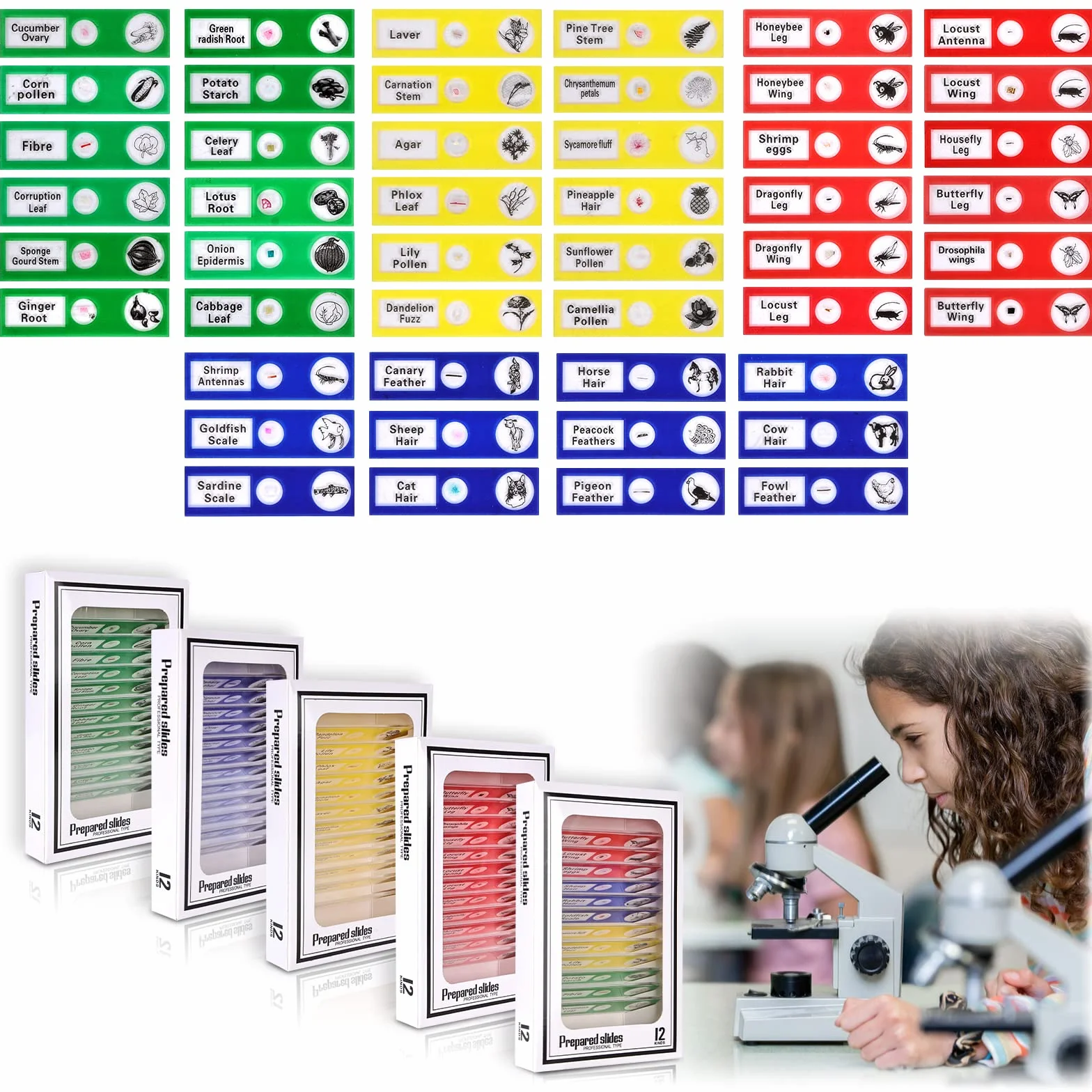 Vegena 60 pièces lames de microscope, préparations au microscope pour enfants avec insectes, animaux, fleurs, plantes - échantillons biologiques en plastique - accessoires pour microscopes pour