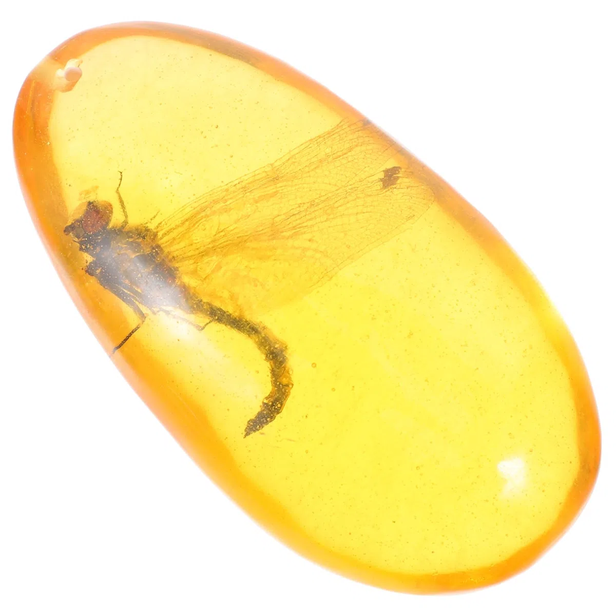 Hohopeti Ornement Décoratif Objet de Collection Unique en Résine Spécimen D'insecte Ambré de Libellule pour Décoration Intérieure