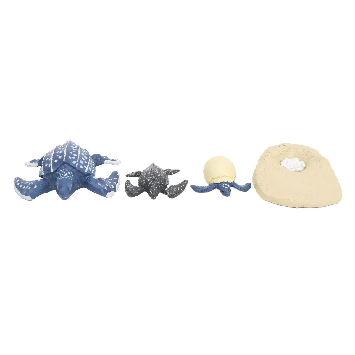 Srliya Modèle Animal de Simulation, Vie Marine, Cycle de Vie, Modèle Cognitif, Jouet Scientifique pour Enfants (2425-Cycle de Croissance de la Tortue Luth)