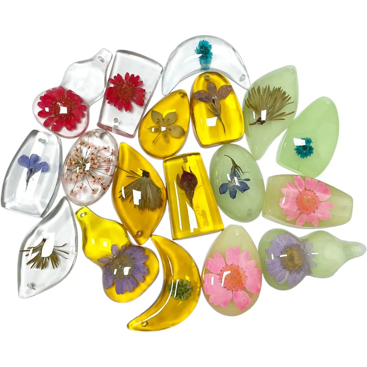 Lot de 18 fossiles d'ambre pour plantes - Pendentifs en fossile d'ambre - Différents exemples de plantes conservées dans de la résine - Jouets éducatifs pour enfants et collections scientifiques -